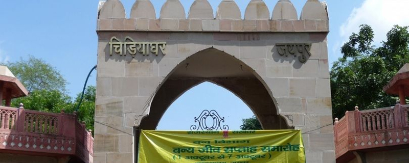 Jaipur Zoo 